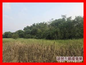 誠昱/左鎮休閒生活農建.