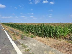 鹽水孫厝寮500重劃農地