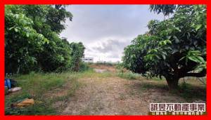 誠昱/官田嘉南大圳2.8.