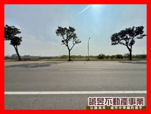 誠昱/湖內臨20米路大面寬農地