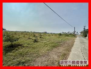誠昱/湖內東方路大面寬農地