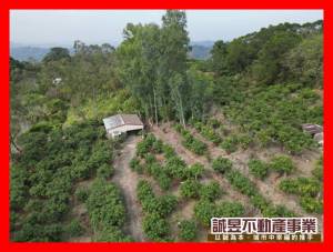 誠昱/居高臨下玉井夜景農地