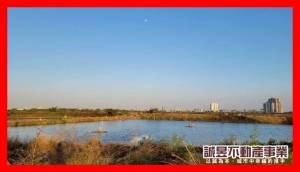 誠昱/台17置產持分都內.